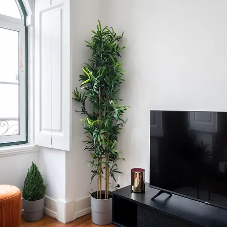 Appartement Akicity Ourique Terracota *